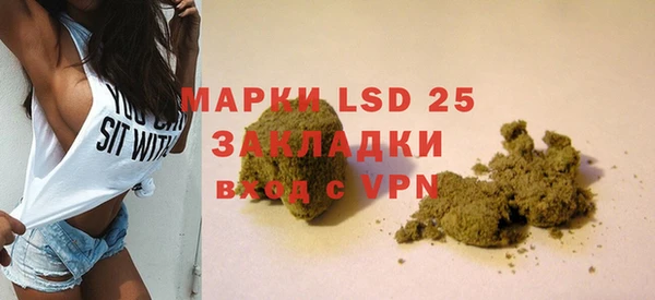 стаф Аркадак