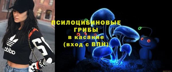 mdpv Арсеньев