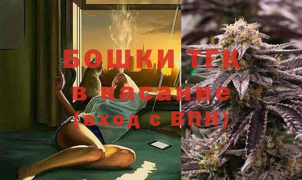 стаф Аркадак