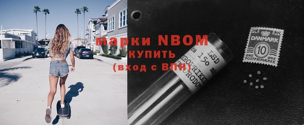 стаф Аркадак