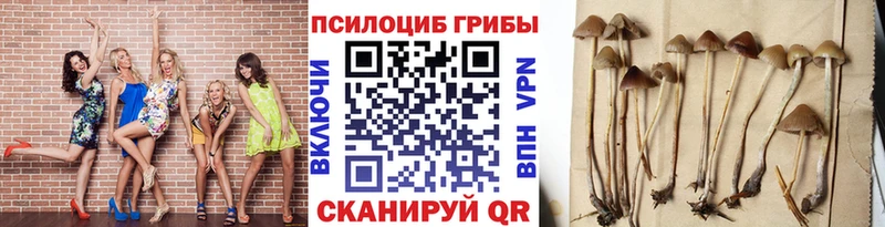 shop какой сайт  где можно купить   Аша  Галлюциногенные грибы мицелий 