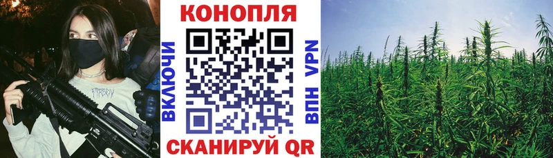 Каннабис THC 21%  Аша 